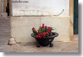 black, europe, flowers, horizontal, italy, otranto, pots, puglia, red, photograph