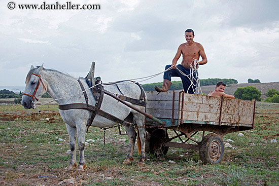 cowboy-on-horse-drawn-stage_coach-4.jpg