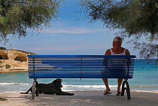 man-on-blue-bench-n-dog-2.jpg