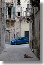 blues, cars, dogs, europe, italy, puglia, taranto, towns, vertical, photograph