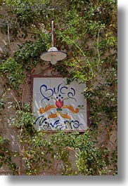 arts, europe, italy, ivy, lights, puglia, signs, trani, vertical, photograph