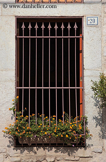 flowers-in-iron-gate-window.jpg