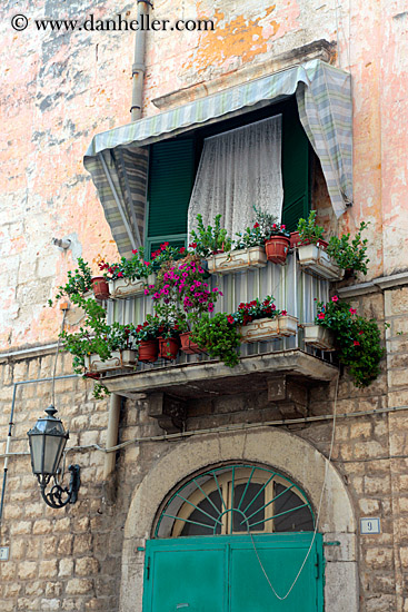 plants-on-balcony-2.jpg