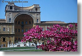 bougainvilleas, europe, horizontal, italy, museums, rome, vatican, photograph