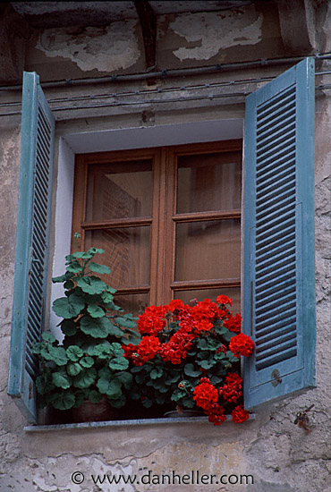 window-1.jpg