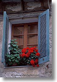 images/Europe/Italy/Sardinia/Alghero/Windows/window-1.jpg