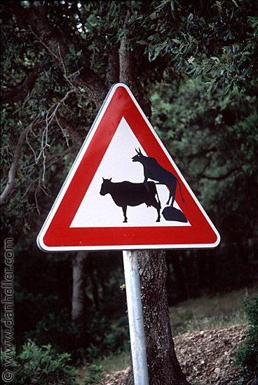 cow-crossing-sign.jpg