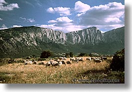 europe, horizontal, italy, sardinia, sopramonte, photograph