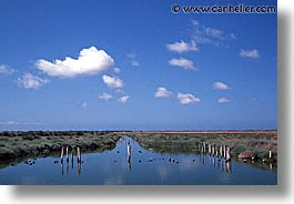 cabras, europe, horizontal, italy, sardinia, stagno, stagno di cabras, photograph