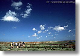 cabras, europe, horizontal, italy, sardinia, stagno, stagno di cabras, photograph