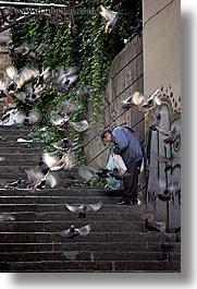 birds, europe, florence, homeless, italy, men, people, pigeons, stairs, tuscany, vertical, photograph