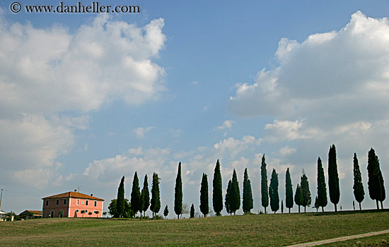 house-n-tuscan-cyprus-trees-1.jpg