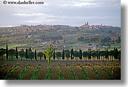 europe, horizontal, italy, scenics, towns, tuscany, vineyards, photograph