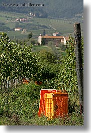 images/Europe/Italy/Tuscany/Towns/FattoriaLavacchio/grape-crates-in-vineyard.jpg