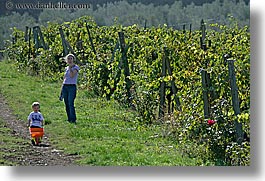 babies, boys, childrens, europe, fattoria lavacchio, grape vines, horizontal, italy, jacks, toddlers, towns, tuscany, wheel barrow, photograph