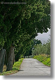europe, fattoria lavacchio, italy, roads, towns, trees, tuscany, vertical, photograph
