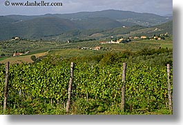 europe, fattoria lavacchio, horizontal, italy, landscapes, towns, tuscany, photograph