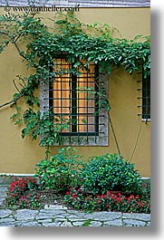 europe, illuminated, italy, ivy, la bandita, towns, tuscany, vertical, windows, photograph