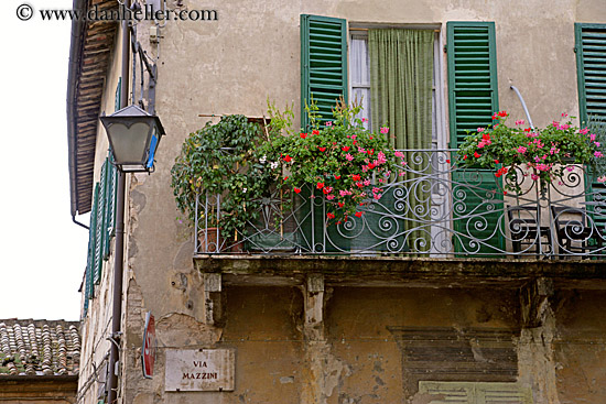 flowers-in-windows-3.jpg