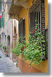 europe, flowers, italy, montalcino, towns, tuscany, vertical, windows, photograph