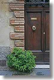 doors, europe, flowers, italy, montalcino, towns, tuscany, vertical, photograph