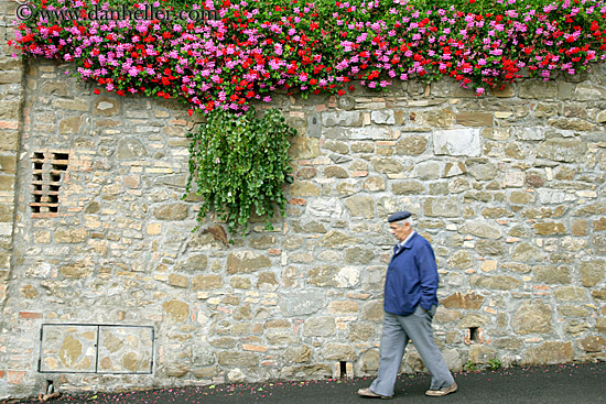 flowers-on-wall-2.jpg