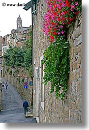 bell towers, europe, flowers, italy, montalcino, stones, towns, tuscany, vertical, walls, photograph