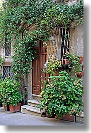 doors, europe, flowers, italy, ivy, pitigliano, towns, tuscany, vertical, photograph