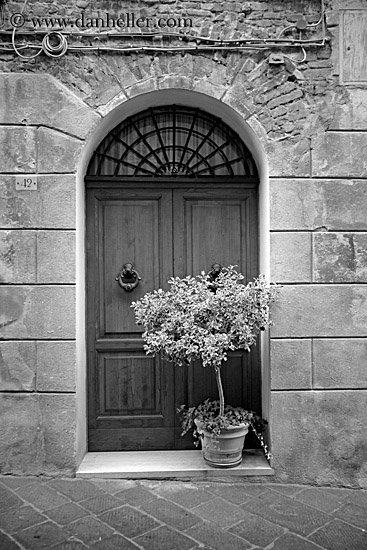 door-n-tree-bw.jpg