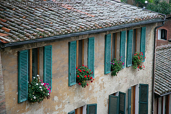 geraniums-in-window-1.jpg