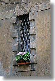 europe, flowers, geraniums, irons, italy, siena, towns, tuscany, vertical, windows, photograph