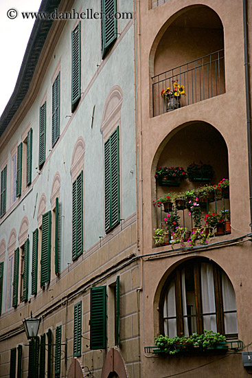 geraniums-in-window-4.jpg