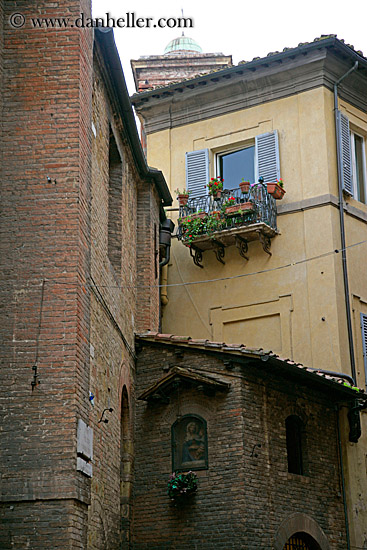 geraniums-in-window-5.jpg