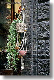 europe, hangings, italy, plants, siena, stones, towns, tuscany, vertical, photograph