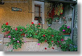 europe, flowers, horizontal, italy, sorano, towns, tuscany, photograph