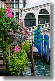 images/Europe/Italy/Venice/Misc/flowers-n-canal-1.jpg