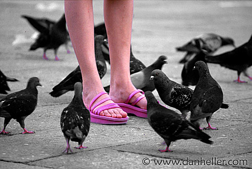 pink-feet-b.jpg