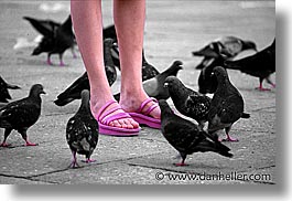 europe, feet, horizontal, italy, people, pink, venecia, venezia, venice, photograph