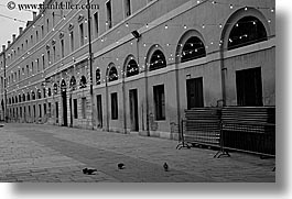 birds, black and white, europe, horizontal, illuminated, italy, slow exposure, squares, streets, venecia, venezia, venice, photograph