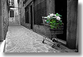 cwb, europe, flowers, horizontal, italy, streets, venecia, venezia, venice, photograph