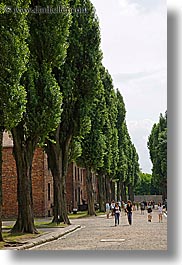 images/Europe/Poland/Auschwitz/barracks-n-trees-3.jpg
