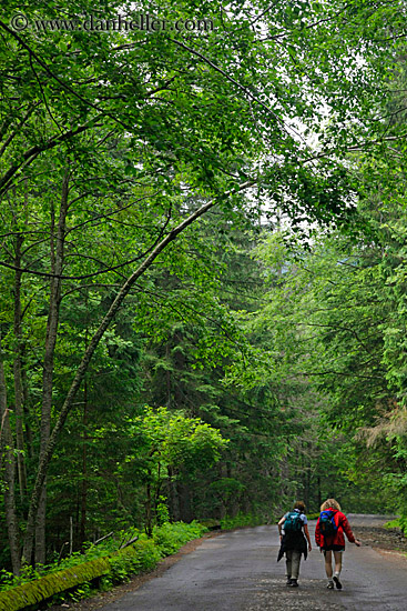 hiking-in-woods-01.jpg