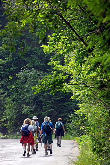 hiking-in-woods-02.jpg
