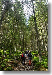 images/Europe/Poland/Hikers/hiking-in-woods-04.jpg