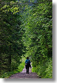 images/Europe/Poland/Hikers/hiking-in-woods-06.jpg