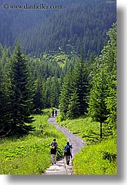 images/Europe/Poland/Hikers/hiking-in-woods-07.jpg