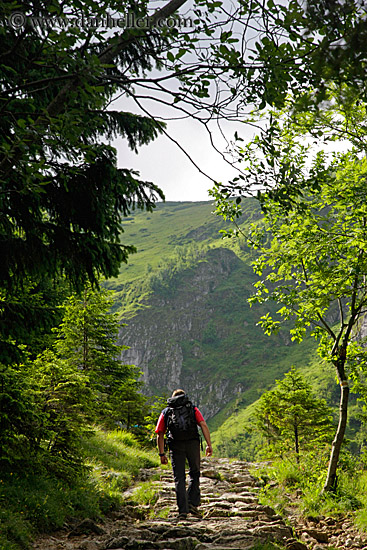 hiking-in-woods-09.jpg