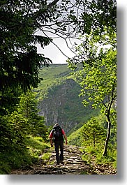 images/Europe/Poland/Hikers/hiking-in-woods-09.jpg