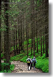 images/Europe/Poland/Hikers/hiking-in-woods-11.jpg