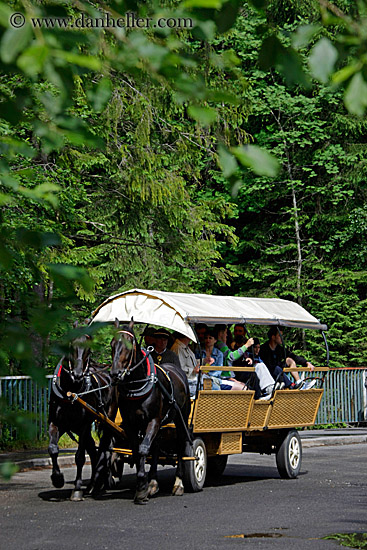 horse-n-carriage-2.jpg